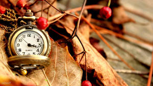 Beautiful Hd Pocket Watch Wallpaper