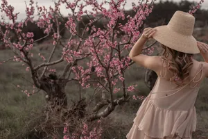 Beautiful Iphone Pink Tree Wallpaper