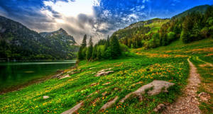 Beautiful Landscape Lakeside Greenfield Wallpaper