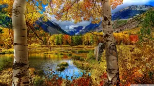 Beautiful Moments In Nature: A Peaceful Look Of A Calm Autumn Day Wallpaper