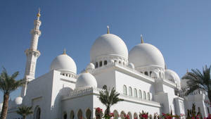 Beautiful Mosque Sheikh Zayed Domes Wallpaper