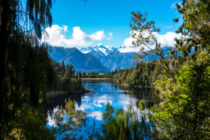 Beautiful Mountain Lake Stunning Vegetation Wallpaper