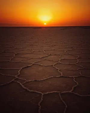 Beautiful Nature Sunset Dry Land Wallpaper