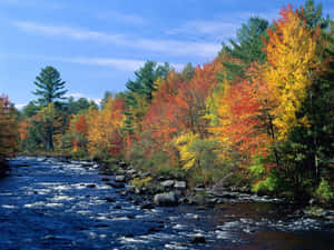Beautiful Painting New England Summer Wallpaper