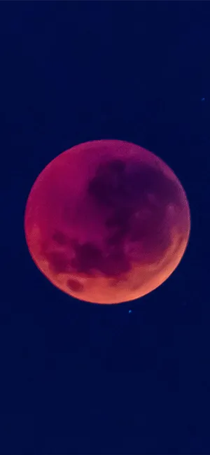 Beautiful Pink Moon Portrait Wallpaper