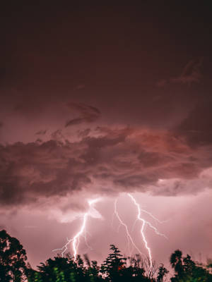 Beautiful Pink Sky With A Streak Of Lightning. Wallpaper