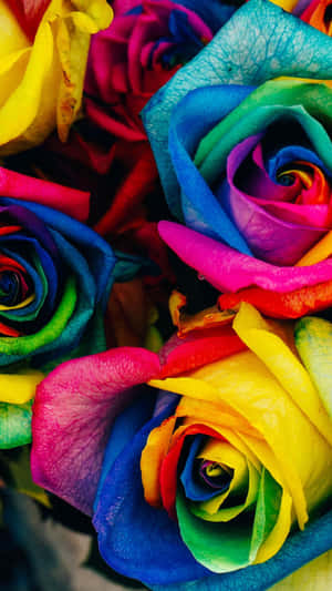 Beautiful Rainbow Flower To Brighten Your Day Wallpaper