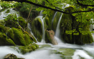 Beautiful Scenery Desktop Plitvice Lakes National Park Wallpaper