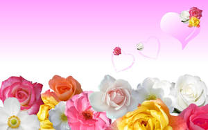 Beautiful Shades Of Rose Flowers Wallpaper