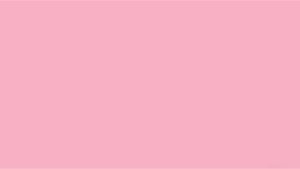 Beautiful Solid Pink Color Wallpaper