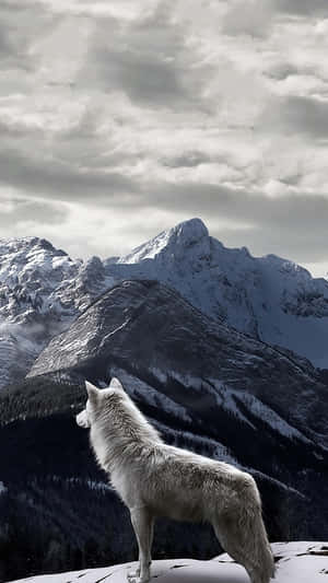 Beautiful Spirit Of Nature Wallpaper