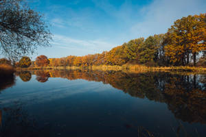 Beautiful View Of Trees Along A Wide River Wallpaper