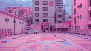 Beauty Of The Pink Japanese Sakura Wallpaper