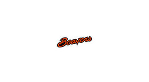 Beavers Oregon State University White Wallpaper