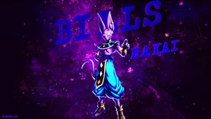 Beerus With Romanized Name Wallpaper