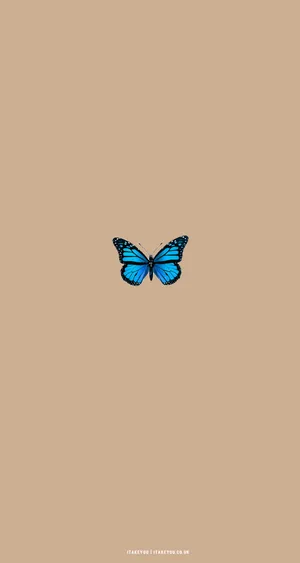 Beige Butterfly Aesthetic Wallpaper