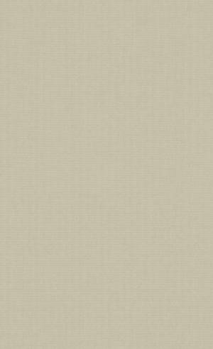 Beige Minimalist Hue Wallpaper