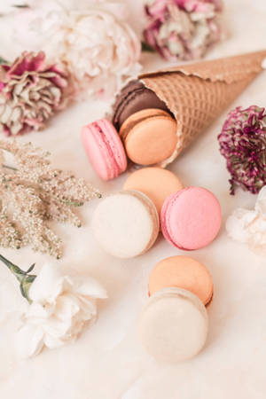 Beige Minimalist Macaroons Wallpaper