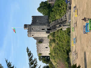 Benches Outside The Cardiff Castle Wallpaper