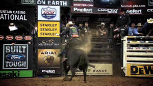 Best Bucking Bull Riding Wallpaper