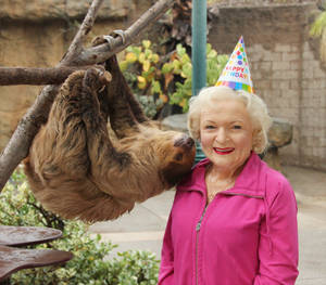 Betty White's Lifelike Wax Figure At Madame Tussauds Wallpaper