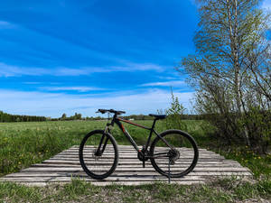 Bicycle In Nature Picture Wallpaper