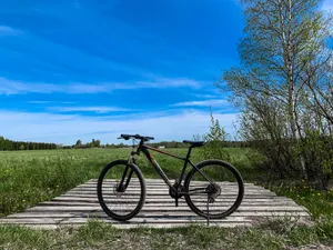Bicycle In Nature Picture Wallpaper
