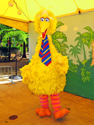 Big Bird Posing With Necktie Wallpaper