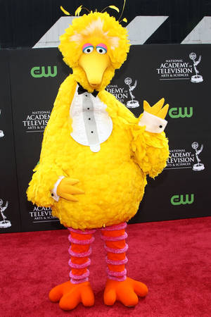 Big Bird Red Carpet Wallpaper