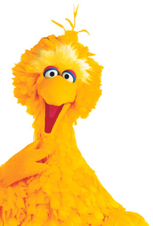 Big Bird Smiling Wallpaper