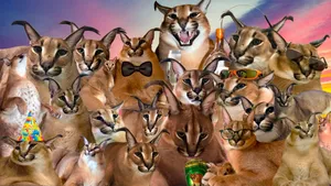 Big Floppa Caracal Party Collage.jpg Wallpaper
