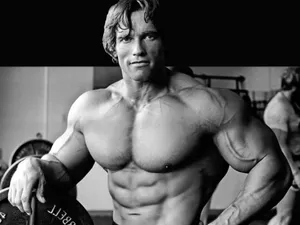 Big Muscle Arnold Schwarzenegger Wallpaper