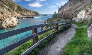 Big Sur Partington Cove Trail Wallpaper