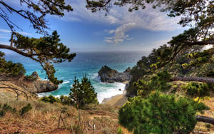 Big Sur Sea Framed By Trees Wallpaper