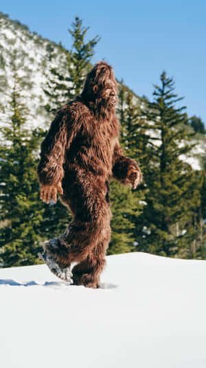 Bigfoot_ Sighting_ Winter_ Forest Wallpaper