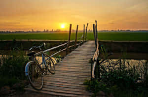Bike On A Wooden Bridge 4k Ultra Hd Landscape Wallpaper