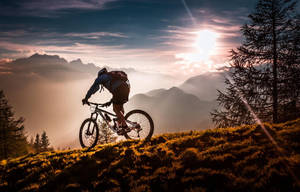 Bike Ride On Trails Wallpaper