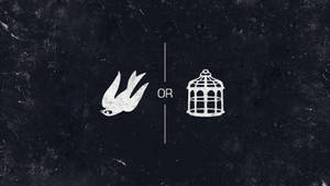 Bioshock Infinite Bird Or Cage Wallpaper