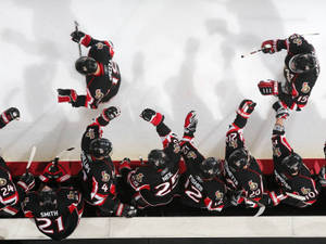 Birds Eye View Of The Ottawa Senators Hockey Arena Wallpaper