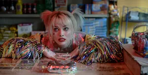 Birds Of Prey Harley On Counter Wallpaper