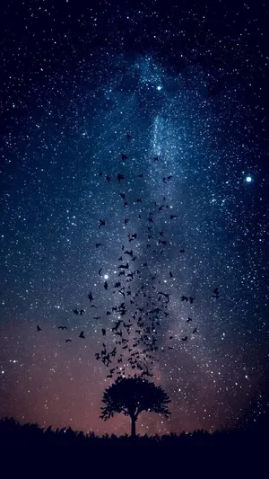 Birds Tree Silhouette Galaxy Iphone Wallpaper