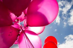Birthday Pink And Red Balloons Wallpaper
