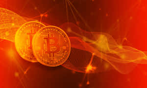 Bitcoin Oraneg Background 4k Desktop Wallpaper