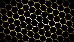Black And Gold Honeycomb Pattern Wallpaper