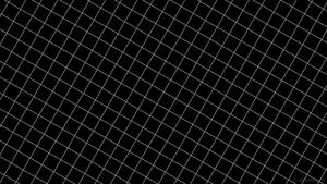 Black And White Aesthetic White Gridlines Wallpaper