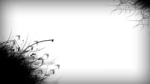 Black And White Background With Flowers And Leaves Wallpaper