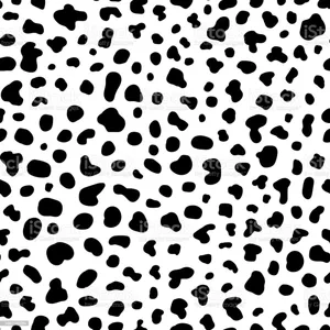 Black And White Cow Print Pattern Wallpaper