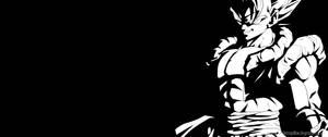 Black And White Gogeta Wallpaper