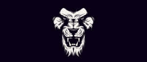 Black And White Lion Head Wallpaper
