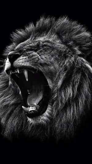 Black And White Lion Roaring Wallpaper
